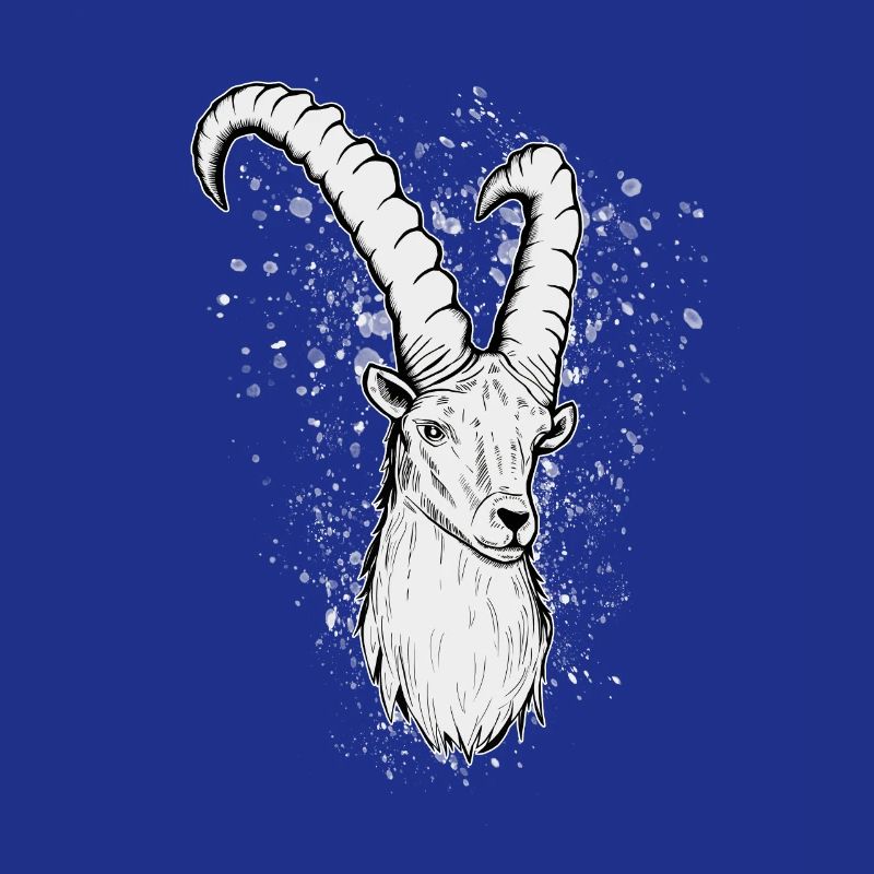 Steinbock Sternzeichen Geschenk