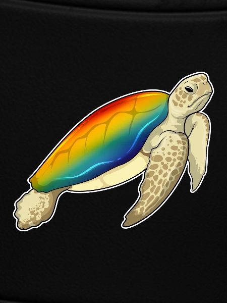 Turtle Rainbow