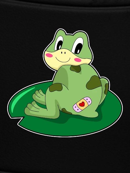 Frosch Pflaster