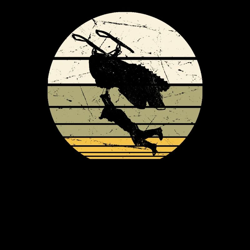 Snowmobile Snowmobiling sled motor sled