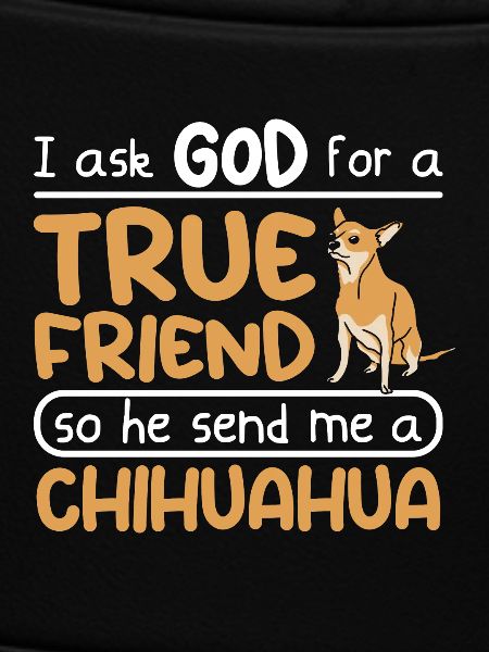 True friend dog chihuahua