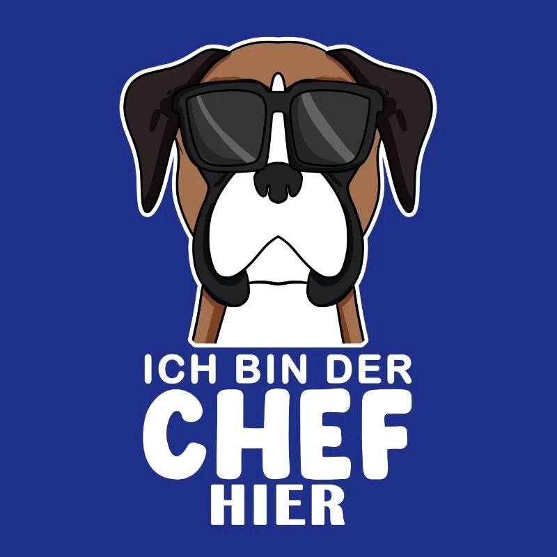 Hund Deutscher Boxer Cool Chef
