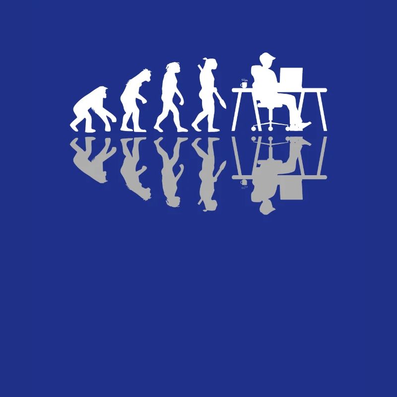 Evolution Funny Programmeur Développeur de logiciels