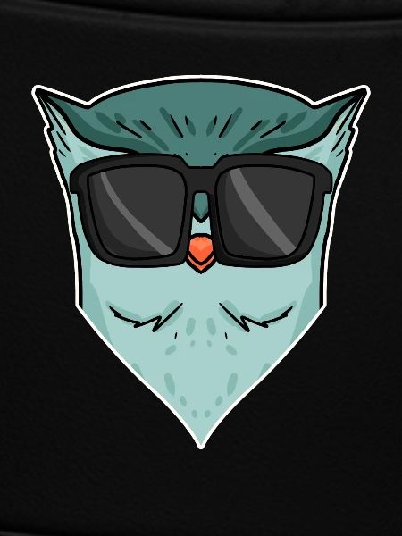 Owl with sunglasses