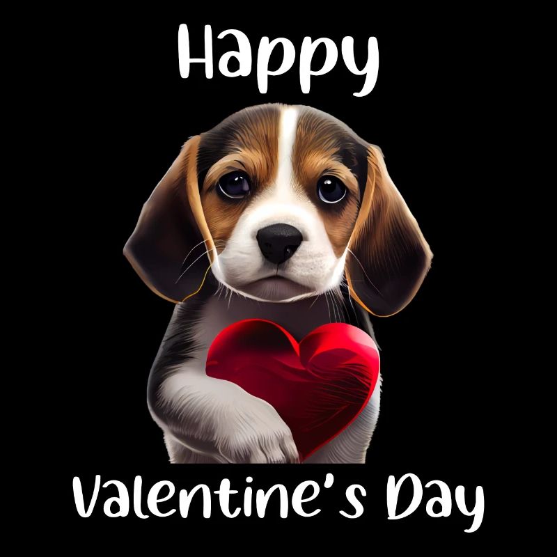 Bonne Saint-Valentin Beagle