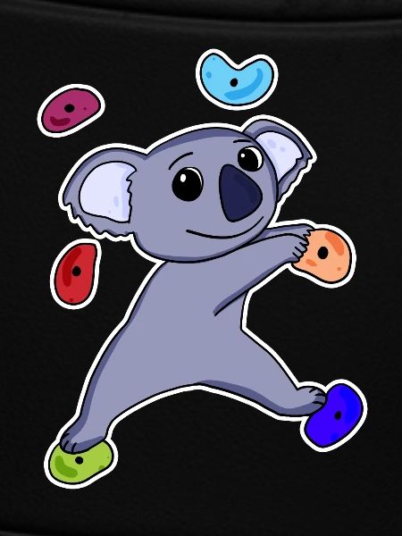 Climbing Koala