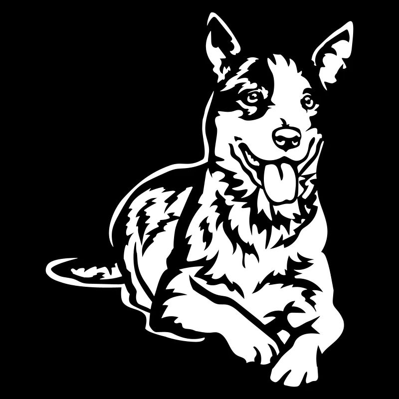 Bouvier australien « Black Edition »