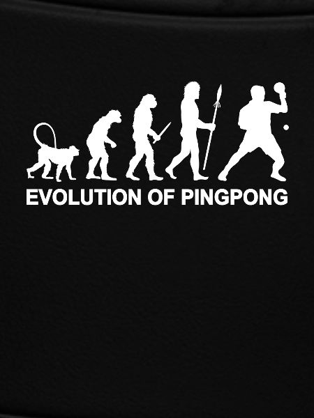Ping Pong Evolution