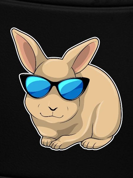 Rabbit Sunglasses