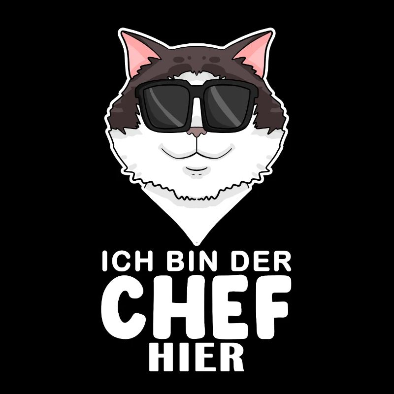 coole Katze - Ragdoll Katze - Chef Spruch