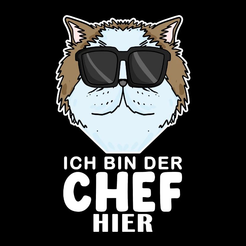 coole Katze - Perserkatze Katze - Chef Spruch