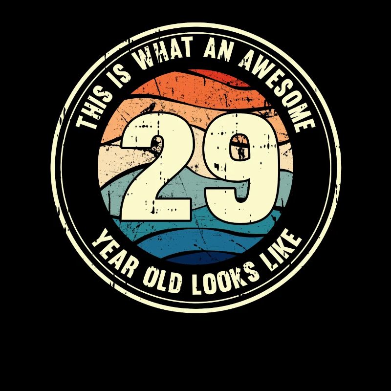 29. Geburtstag so sieht man mit 29 Retro Geschenk