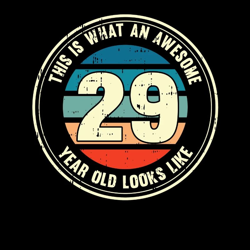 29. Geburtstag so sieht man mit 29 Retro Geschenk
