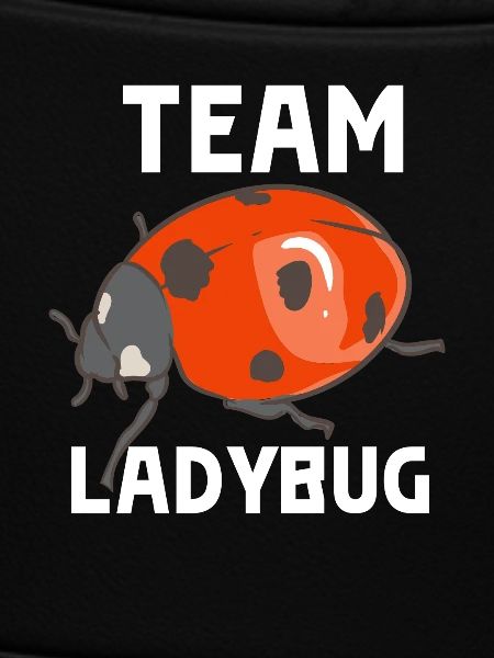 Team Ladybug