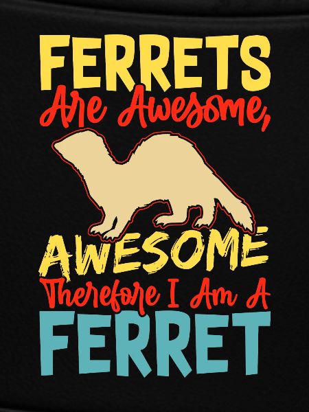 Ferret