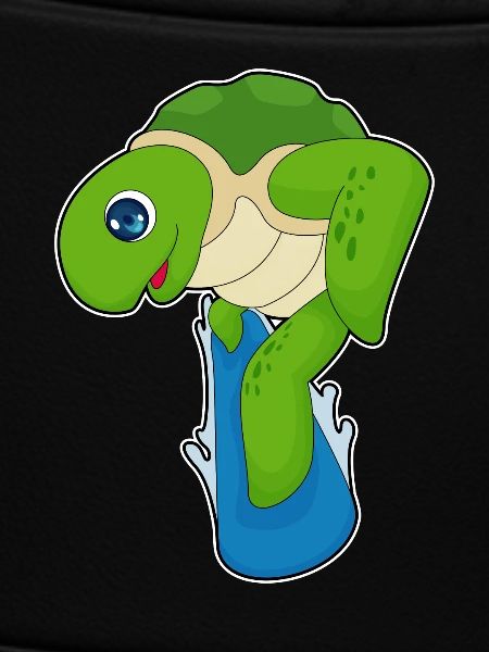 Turtle Snowboarder Snowboard