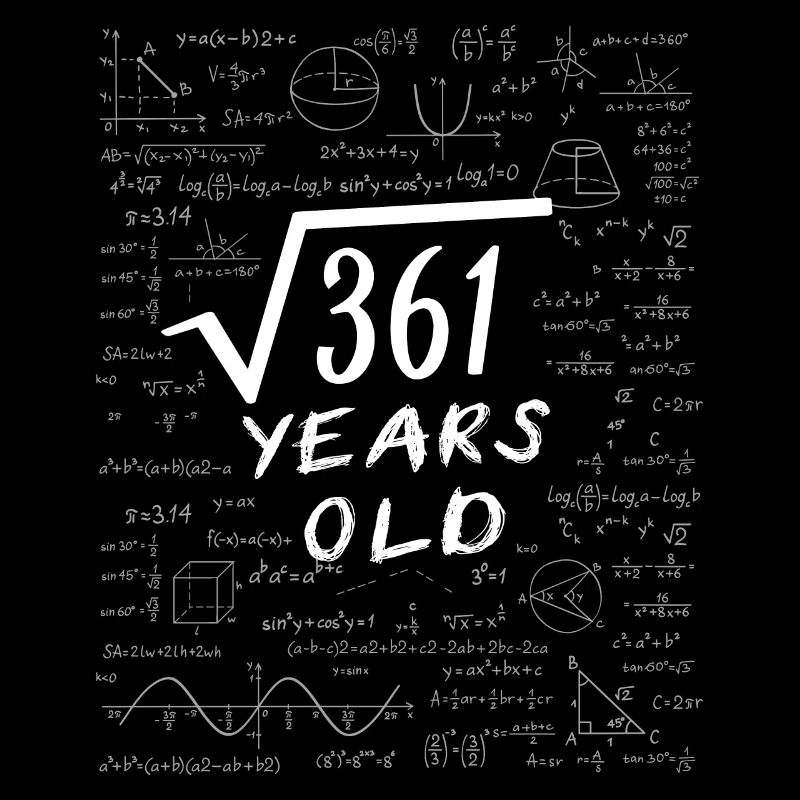 19th Birthday 19 years old Square root of 361 math