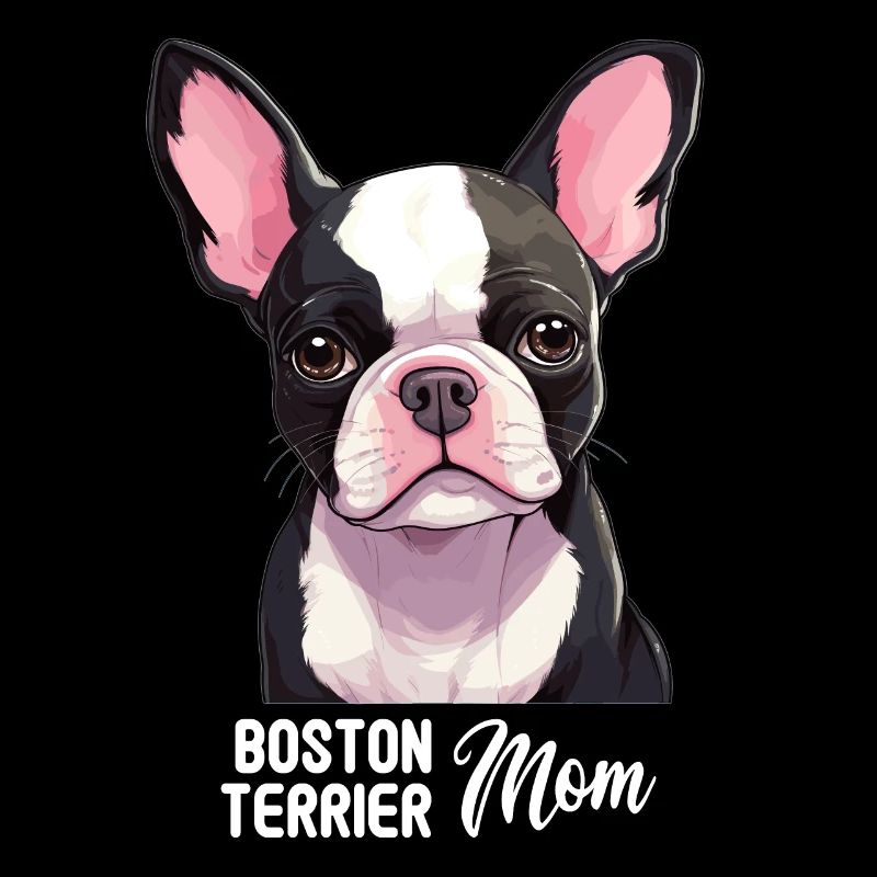 Chien Boston Terrier