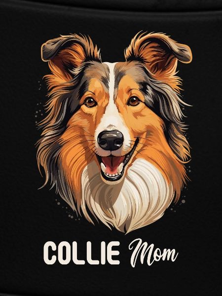 Hund Collie