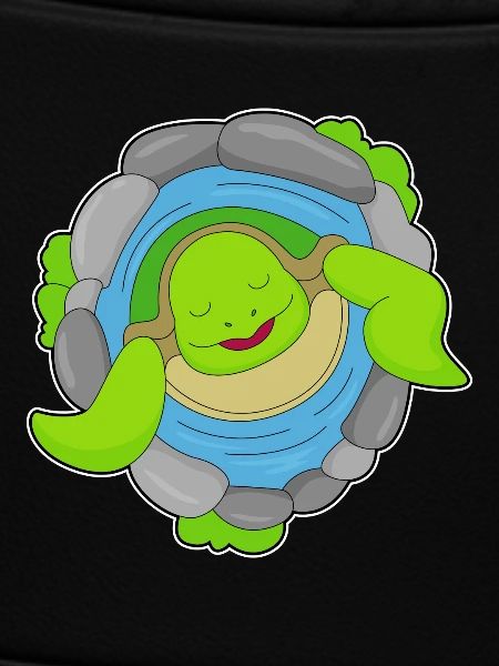 Turtle Fountain