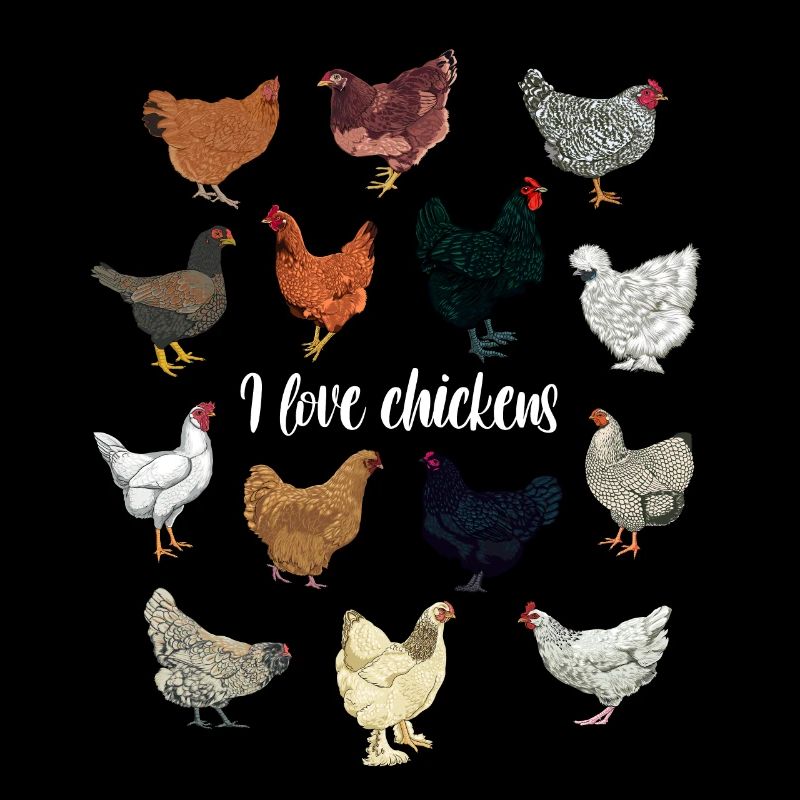 J’adore les poulets