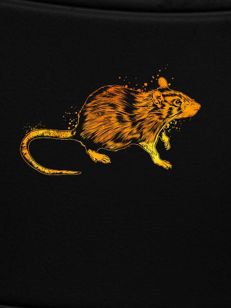 Farbenfrohe Ratte