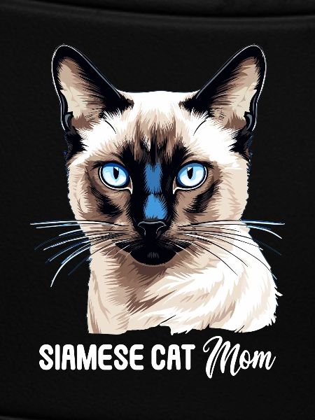 Siamese Cat Siamkatze