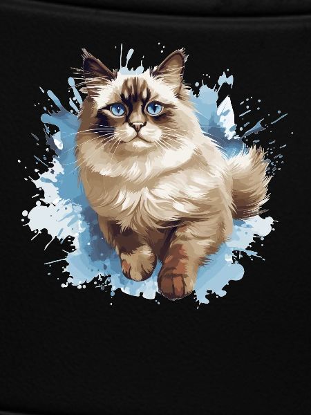 Ragdoll
