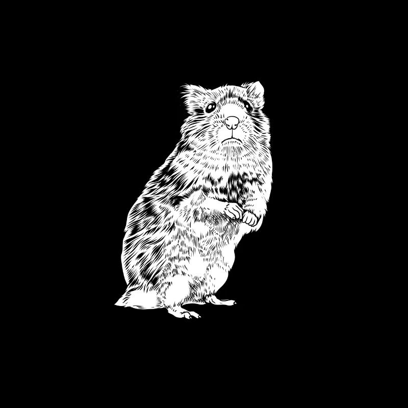 Black and White Drawing - Hamster