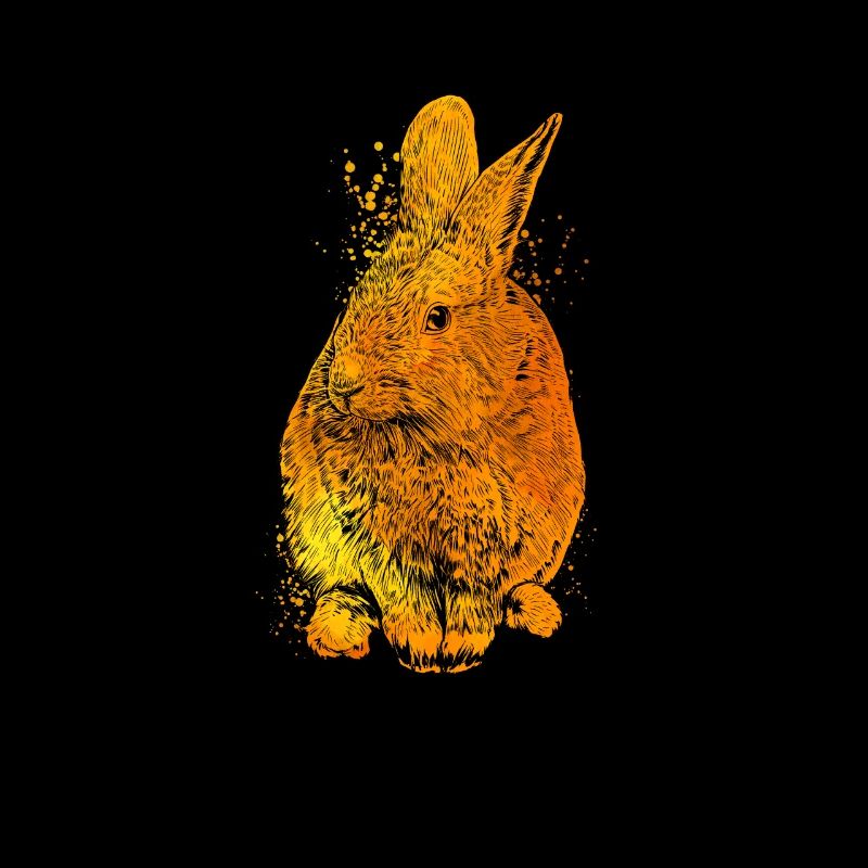 Colorful Rabbit