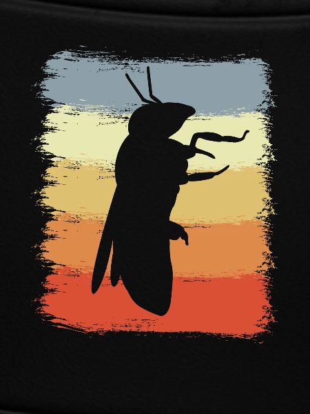 Retro honey bee