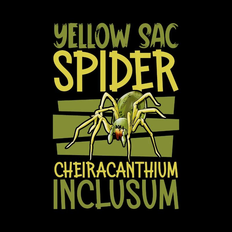 Echte Dornfinger Spinne