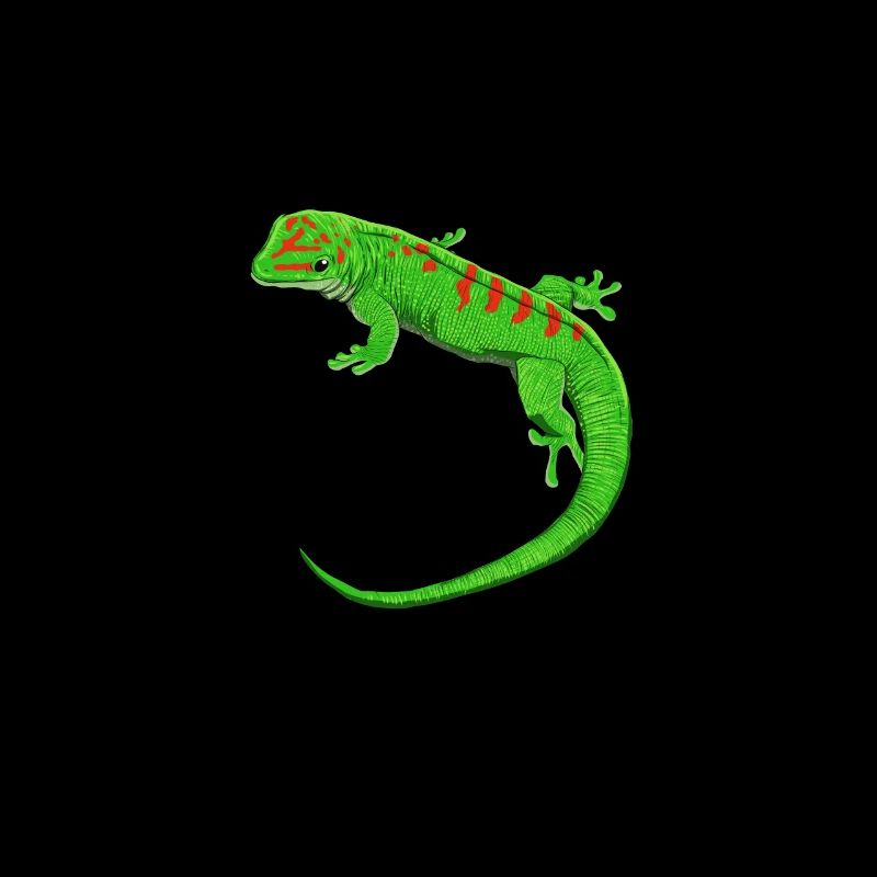Drawing - Madagascar Day Gecko