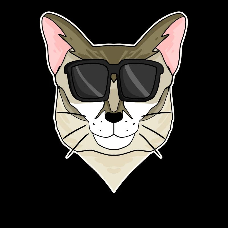 Singapura Chat avec Lunettes - Cool Cat