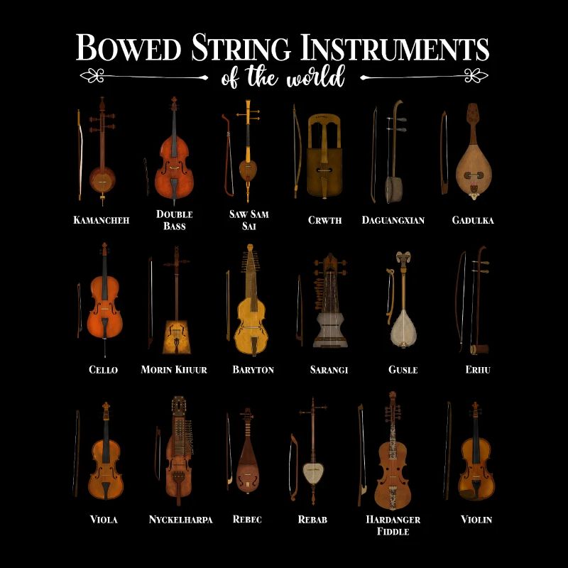 Divers instruments à cordes