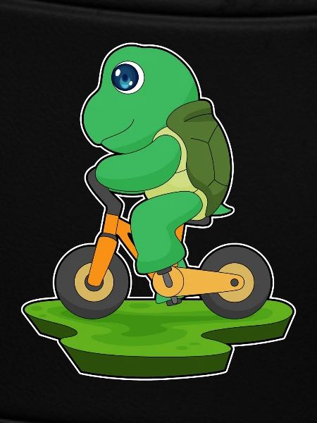 Turtle Bicycle