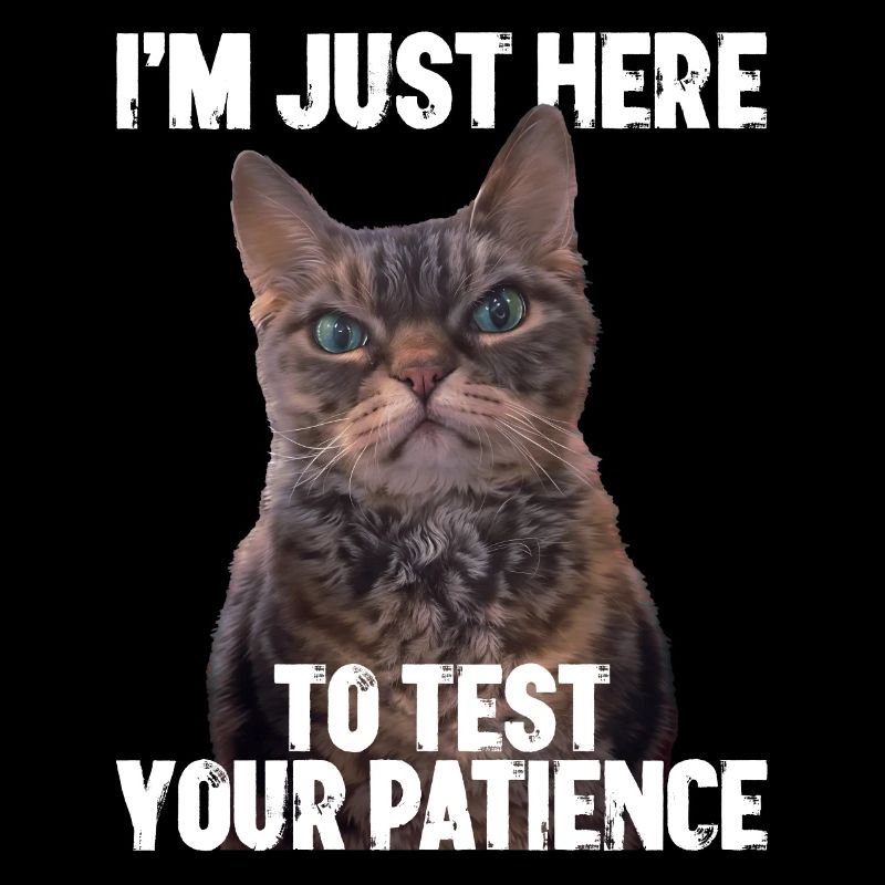 Nur Hier um Deine Geduld Zu Testen Mürrische Katze