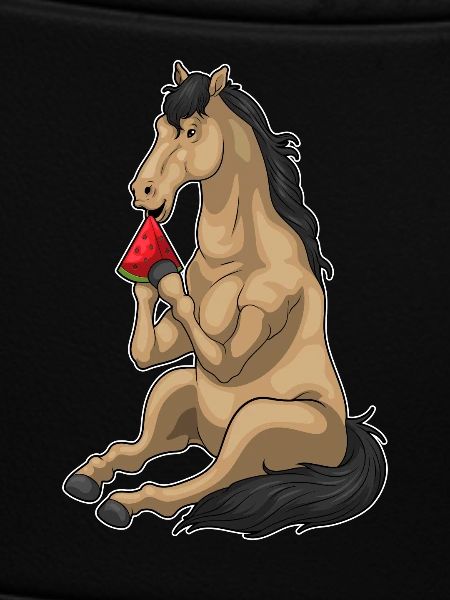 Pastèque cheval