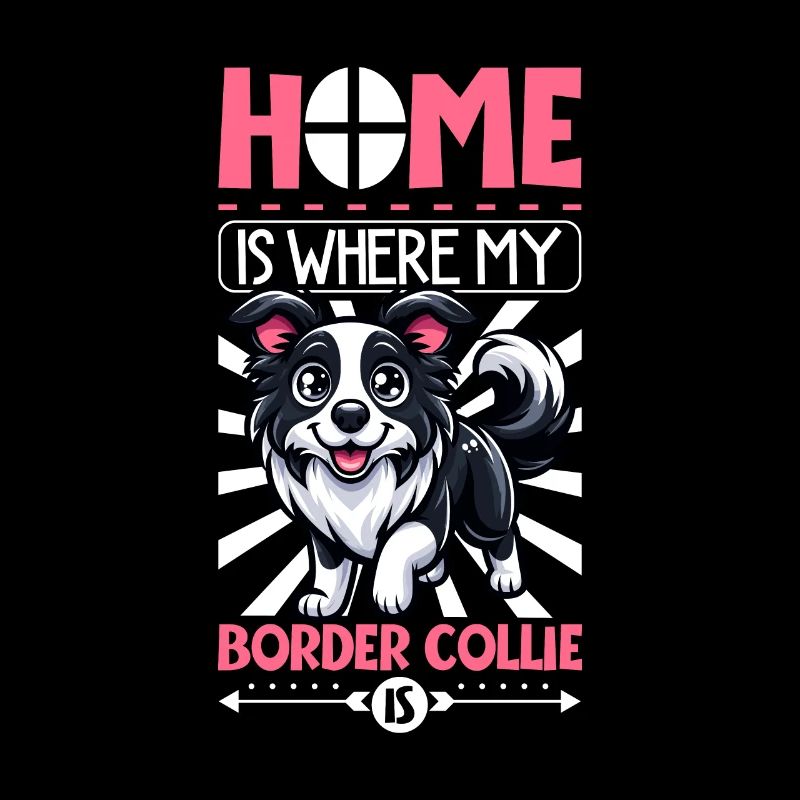 Accueil - Border Collie