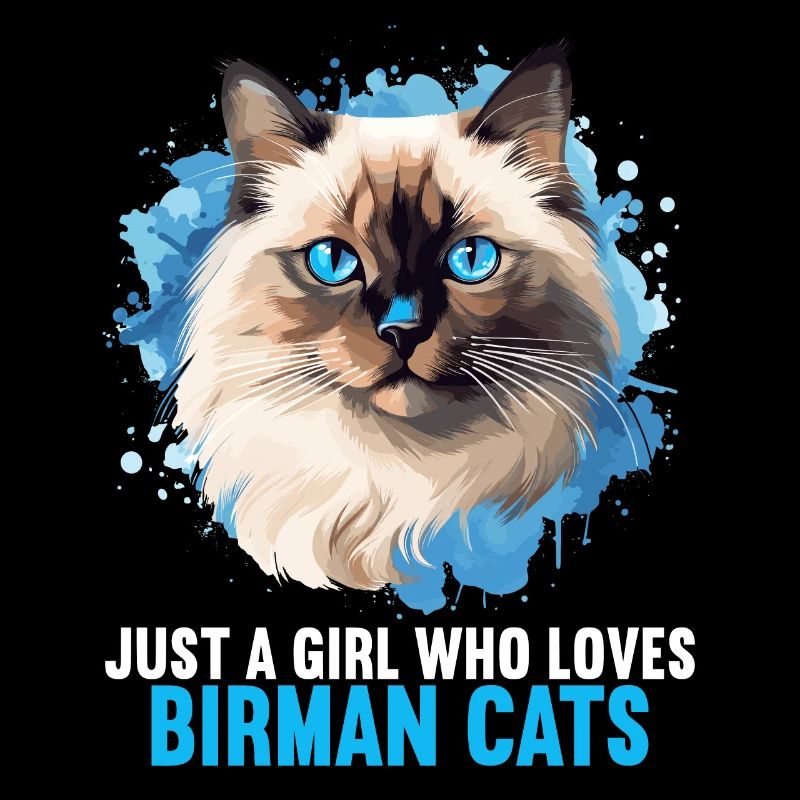 Birman Cat Birma Katze