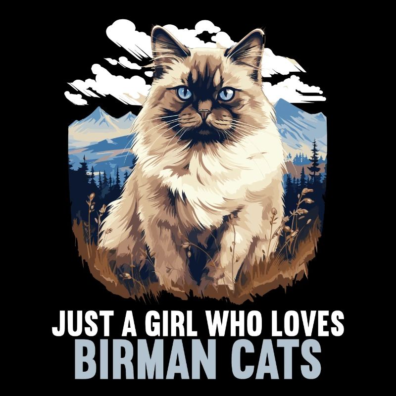 Birman Cat Birma Katze