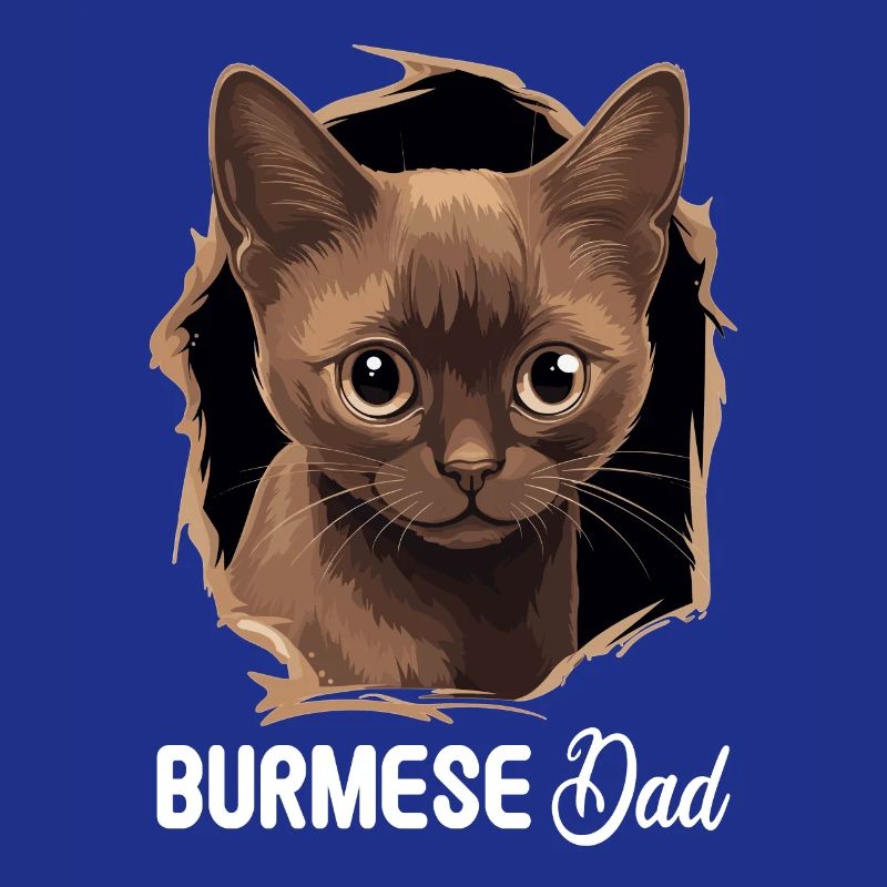Chat birman Birmanie Katze