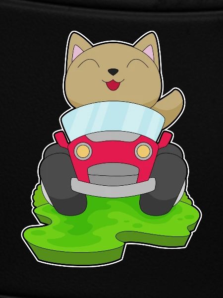 Cat Car
