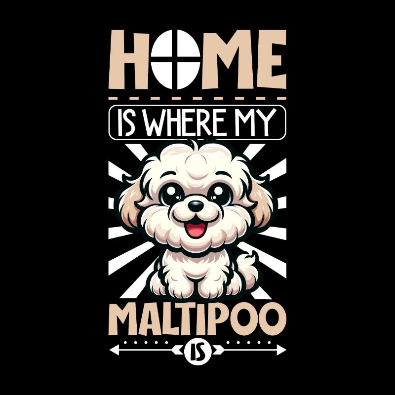 Accueil - Maltipoo