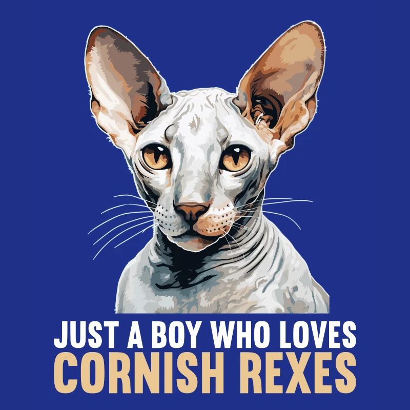 Cornish Rex Kätzchen Cornish Rex Katze