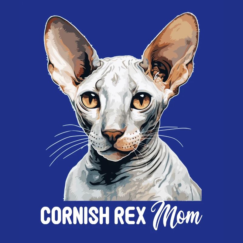 Chaton Cornish Rex Chat Cornish Rex
