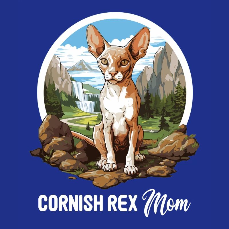 Cornish Rex Kätzchen Cornish Rex Katze