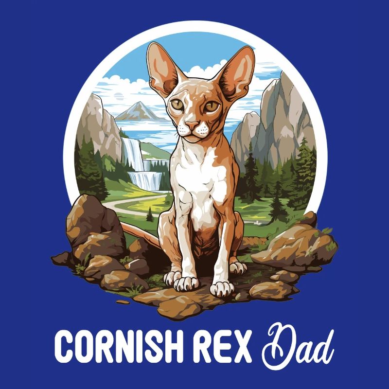 Cornish Rex Kätzchen Cornish Rex Katze