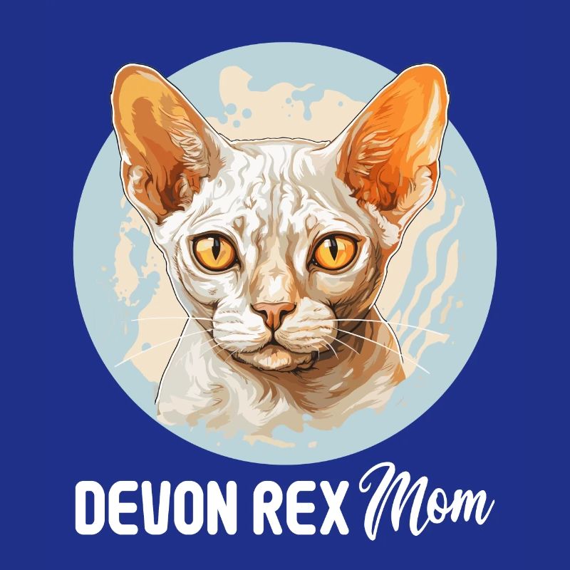 Chaton Devon Rex Chat Devon Rex