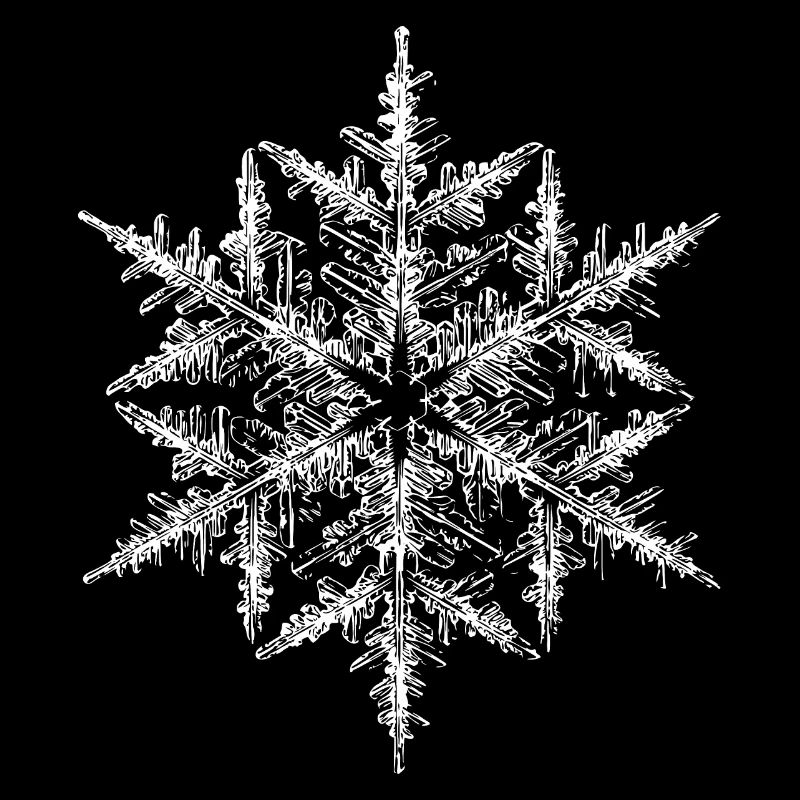 snowflake 5 white